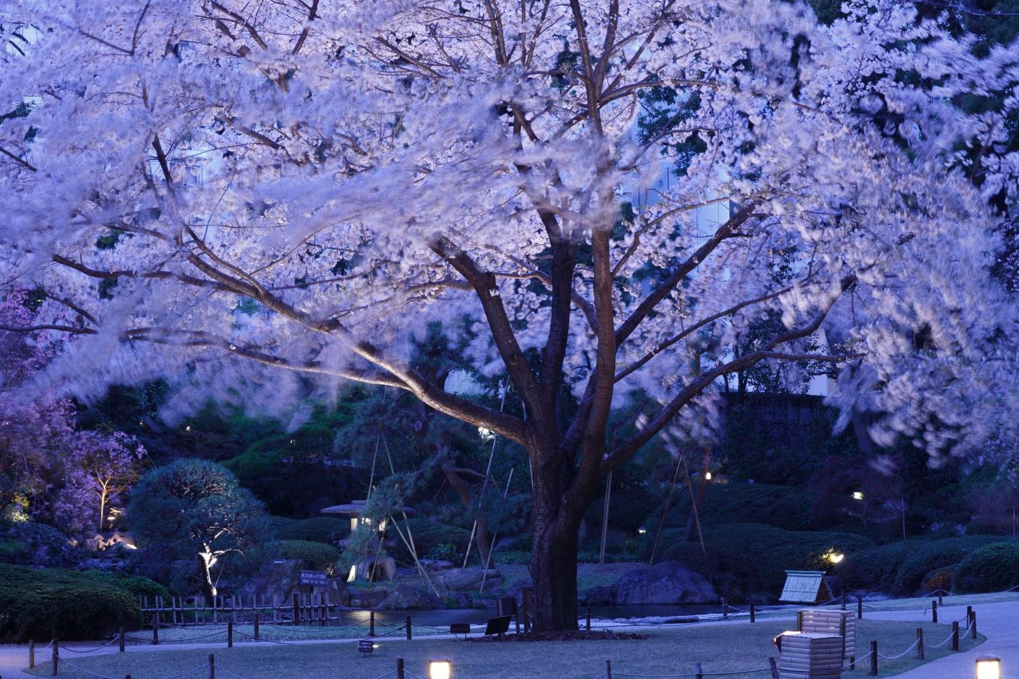 Grand Prince Hotel Shin Takanawa Tokió Kültér fotó